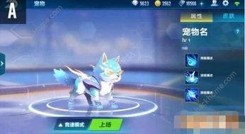 飞车手游最新宠物爆料信息,神秘力量觉醒,速度与激情再升级!